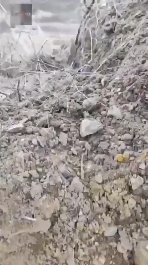 Surrendering AFU soldiers shot in the back by their own!