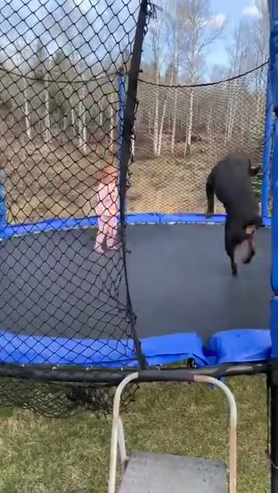 More reason why children should grow up with dogs :)