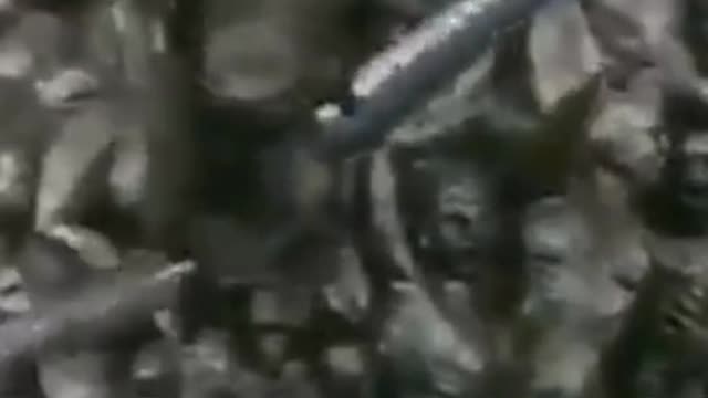 Barchelona 1992 - corona