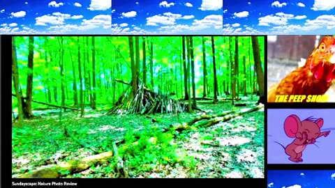 Sundayscape Live-ish Ep.2: Nature Photo Review