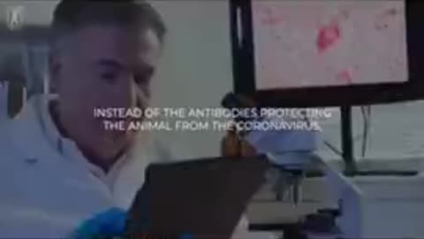 No animal trials for the covid vaccine