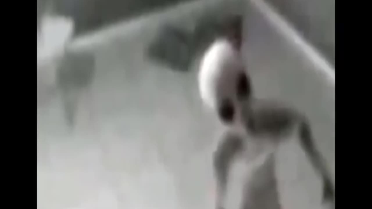 Real alians caught on camera