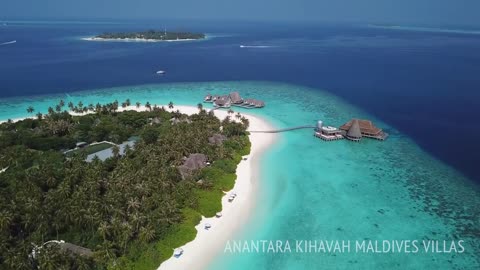 Underwater restaurant in the Maldives | Surreal fine dining experience