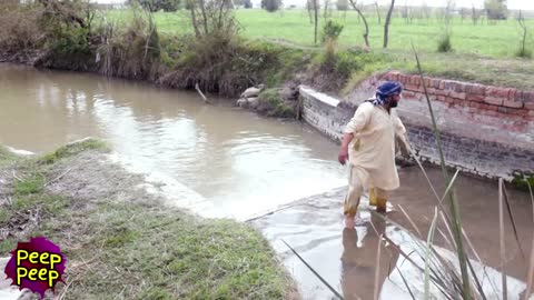 Dogs vs Man Fight Funny || dogs funny video