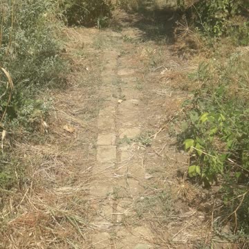 Homemade garden path