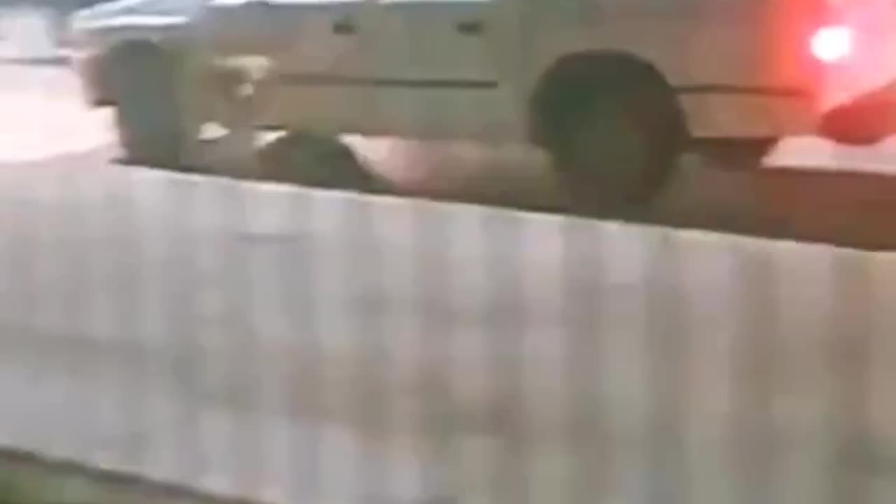 Very funny videos 🤣🔥🐶🐶