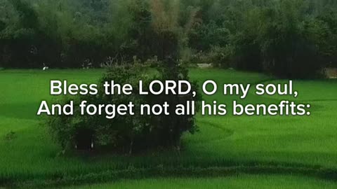 Bless the Lord - Psalm 103
