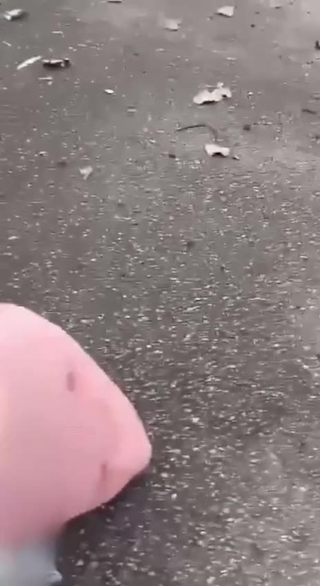 Ukrainian militants carried deadly strike at civilians in Belgorod.