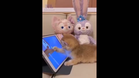 kitten who spends the entire day watching "Tom & Jerry"