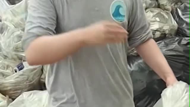 MrBeast Help us save the ocean! #TeamSeas @teamseas