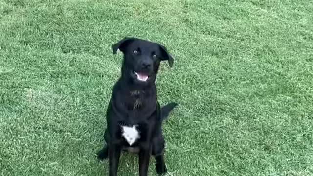 We’re getting better