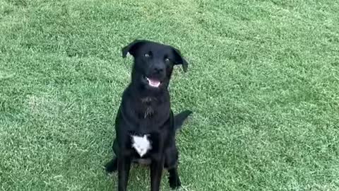 We’re getting better