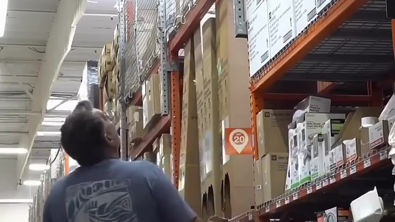 Wait till the end... Shocking end