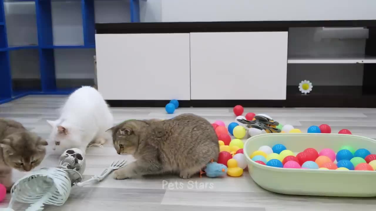 Funniest Animals 2023 😻 Best Funny Cats and Dogs Videos 😍🐶 Part 15