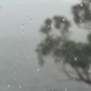 Calm Music for Stress Relief | Sleep Therapy Music🎵 #Calm