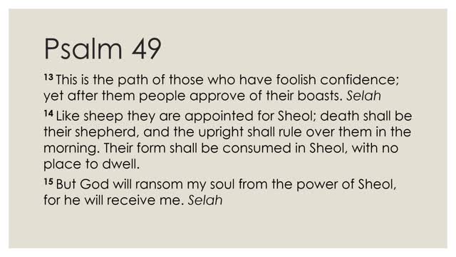 Daily Devotion Psalm 49