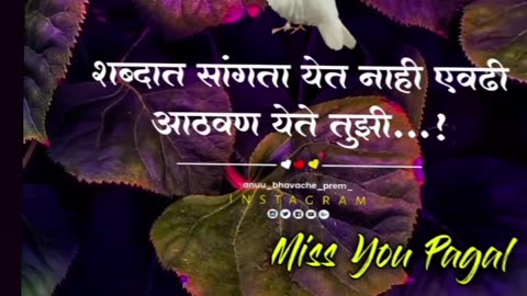 Short video song