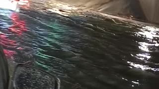 Brave Uber Driver Takes Car Through Flooded Underpass