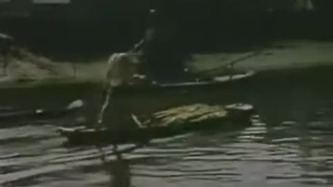 The Big Picture The Fight for Vietnam