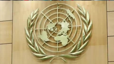 Pedo - The U.N. Steal Kids As Well