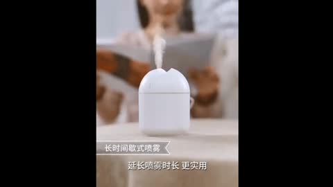 Humidifier for home