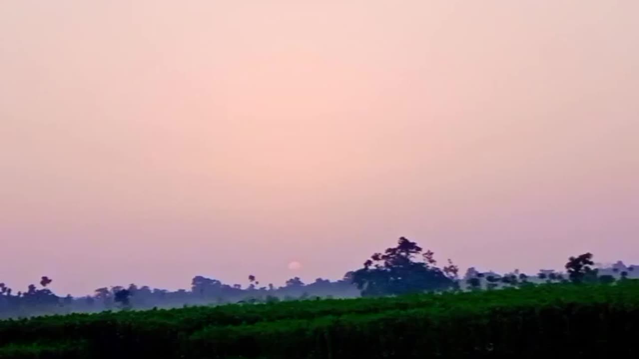 Nature lover