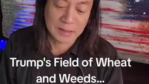 Trump's Field of wheat and weeds