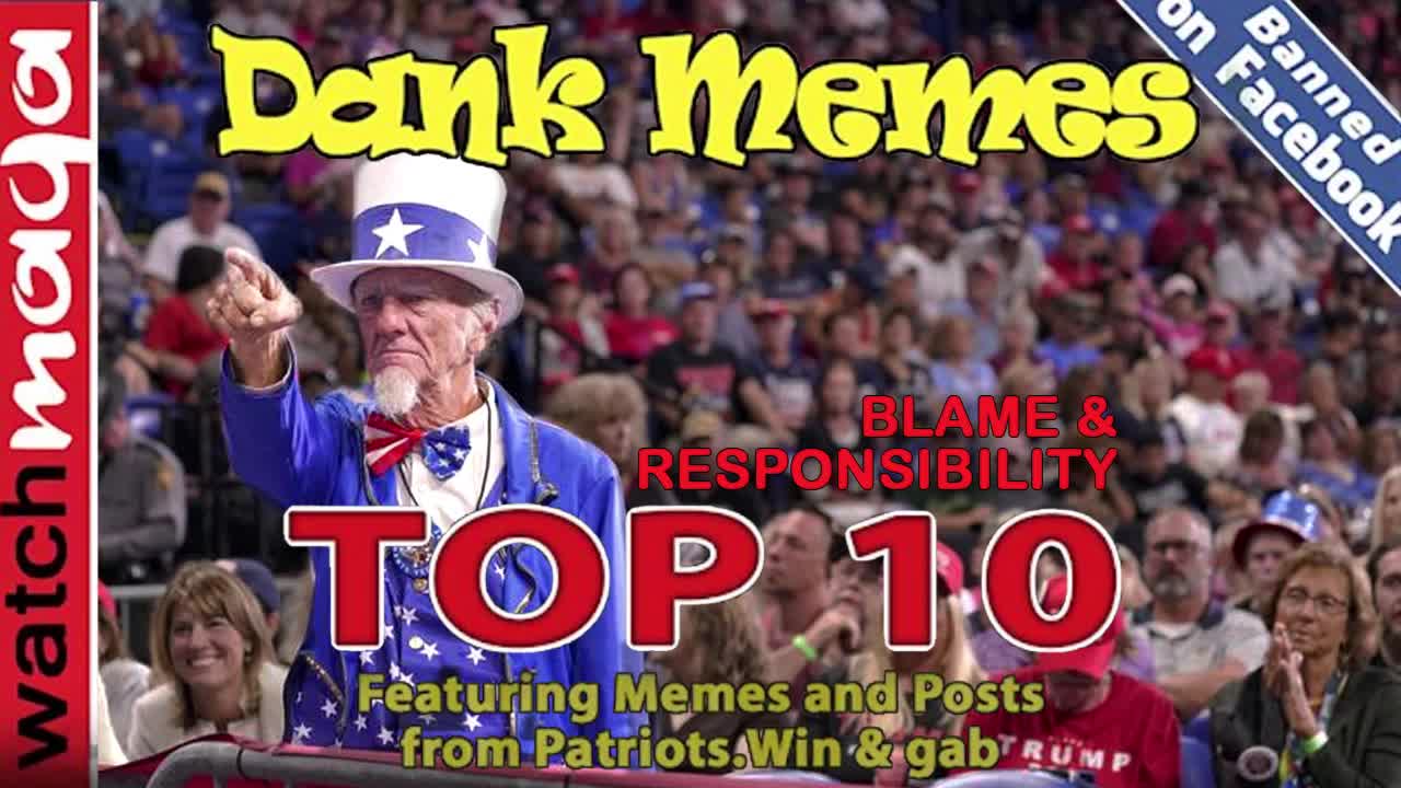 Blame & Responsibility: TOP 10 MEMES