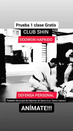 Hapkido