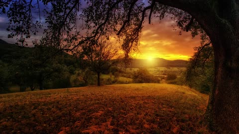 Meditation Music