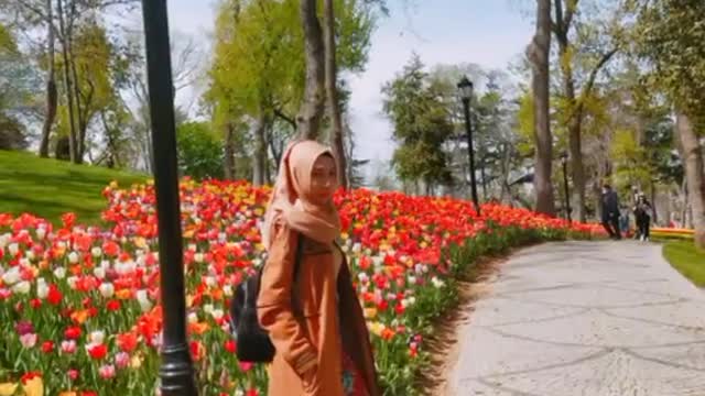 emigran park musim tulip