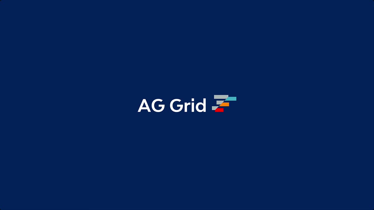 Custom filter Components for AG Grid's Javascipt Data Grid