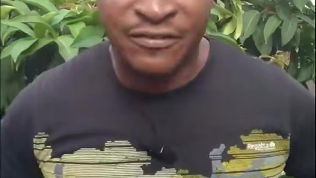 Avocado pear seed is very important to us