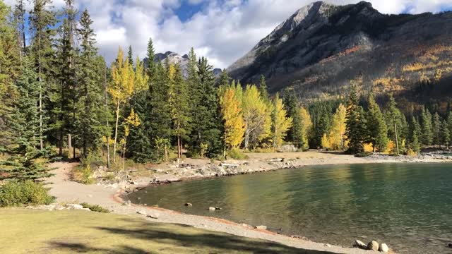 Beautiful relaxing nature video