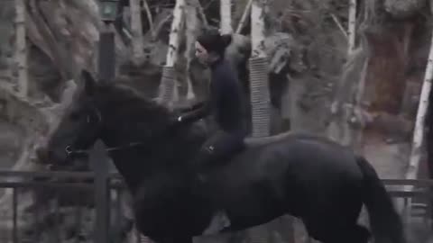 Majestic