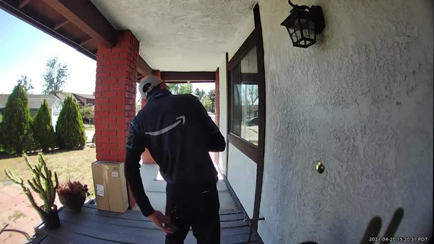 Delivery Person Accidentally Pricks his Butt on Cactus