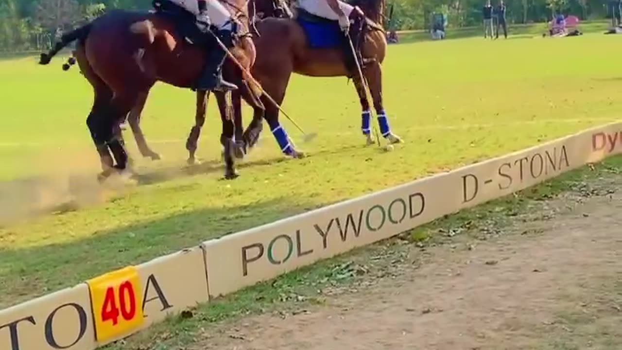 Polo