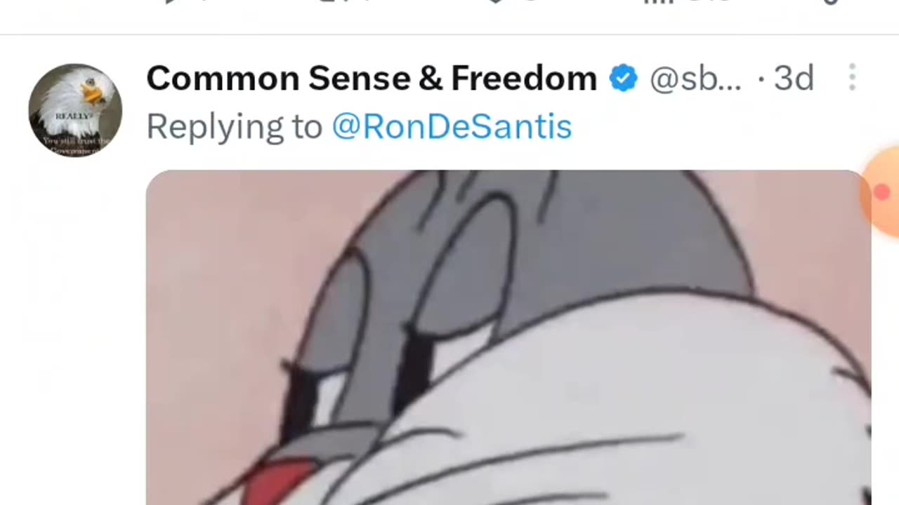 Ron DeSantis presidential campaign support on Twitter