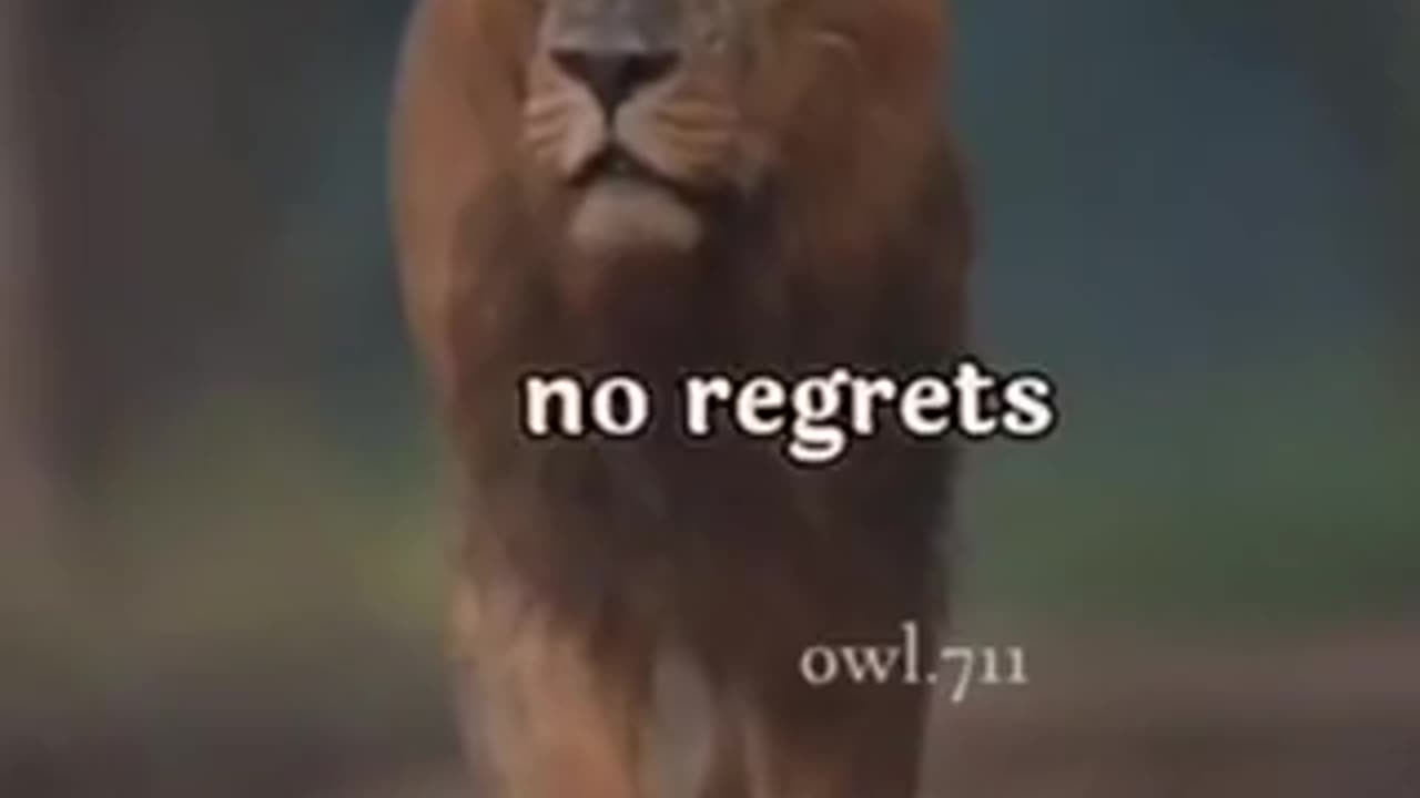 Never give up