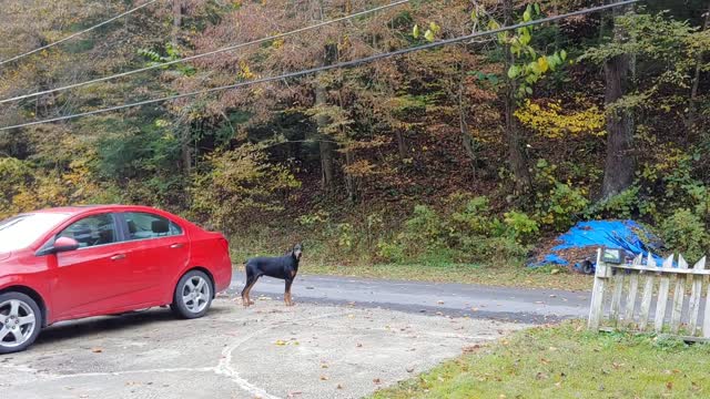 Man Discovers FREE Way to Heat Home that is Clean and Renewable