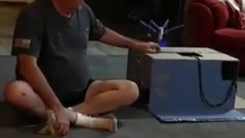 top new comedy video amazing funny video - funny animal videos - Funniest Dogs And Cats Videos
