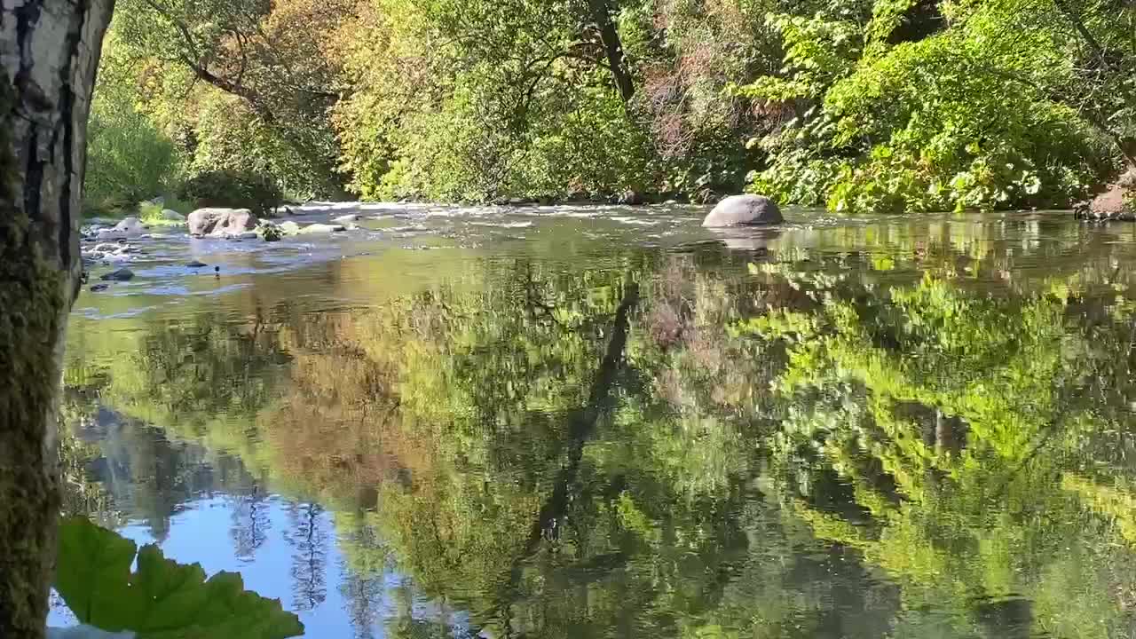 Serenity at the Sacramento River