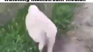 What Happens When You Watch Television