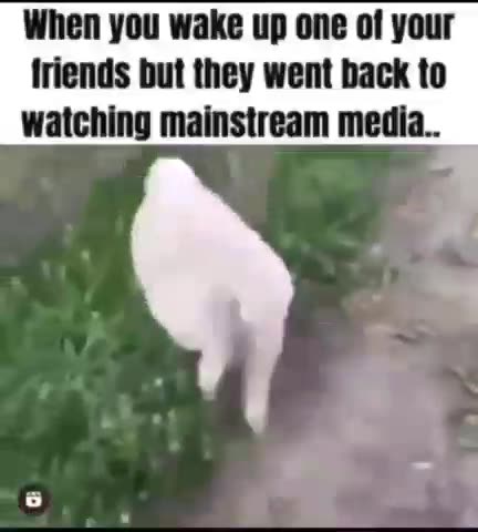 What Happens When You Watch Television