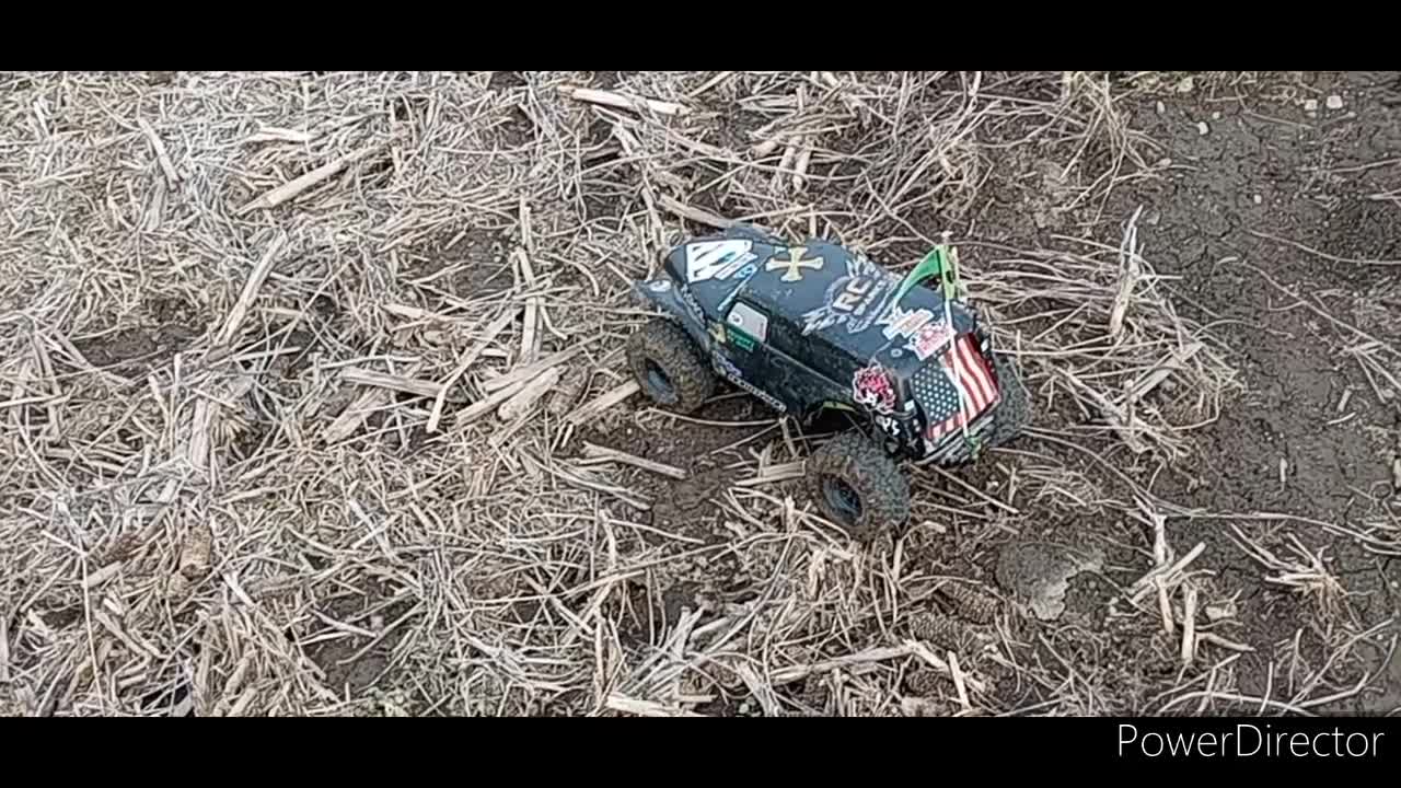 Daddy and Daughter crawl