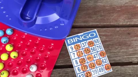 Bingo Cartoon