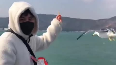 AWW Top Funny Cats And Dogs Videos