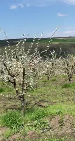 Reportaj din Raiul terestru (4)