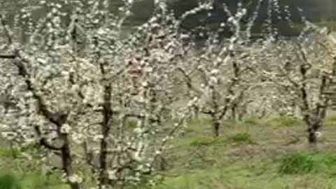 Reportaj din Raiul terestru (4)