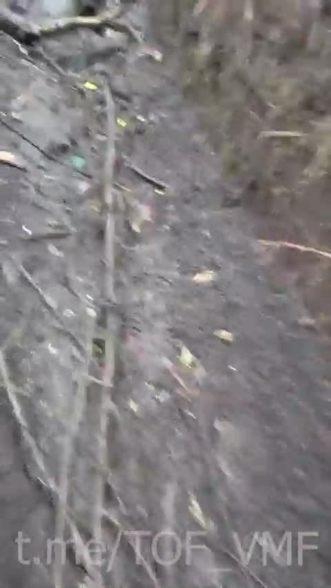 Russian marines take Ukrainian trench